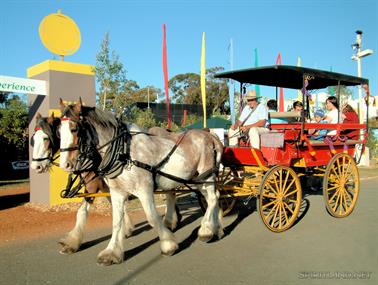 Two horse cart at the Perth Royal Show, Western Australia